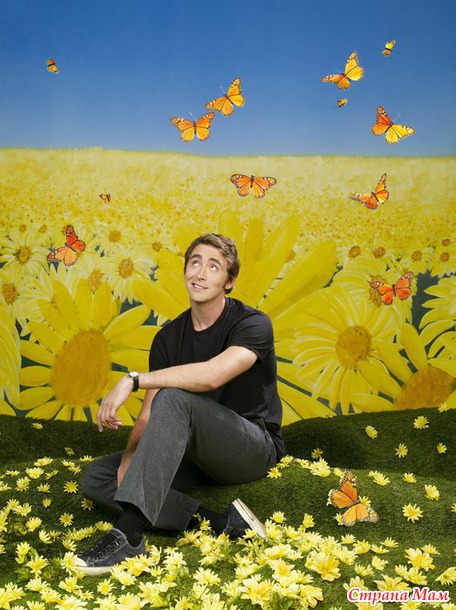   (,     Pushing Daisies)