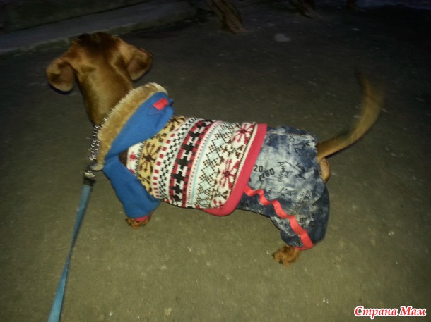 Костюмчик для собаки+