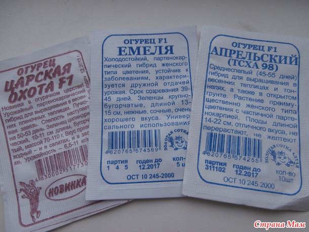 Сходила в магазин за семенами...
