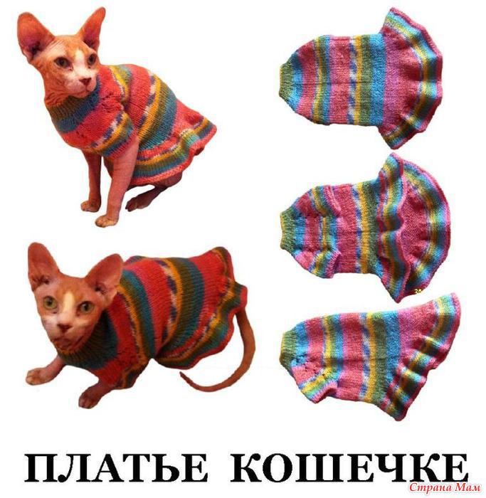 Кошкам сделать одежду. Шьем для сфинкса. Сшить одежду для кошки. Кофта для кошки из рукава. Сшить одежду для котенка.