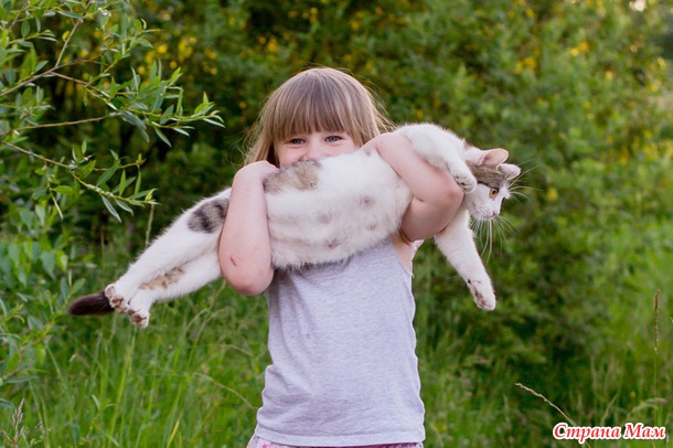 Софья, Алина, кошка