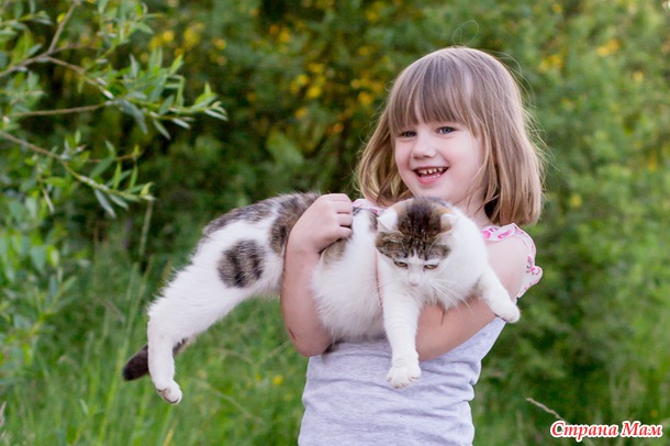 Софья, Алина, кошка