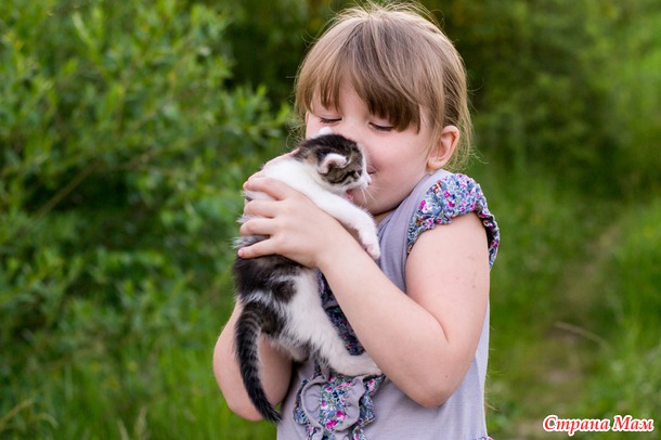Софья, Алина, кошка