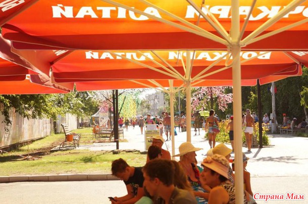 Наш отдых на Яровом! фото