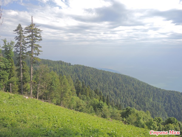 Абхазия - это отдых  души.