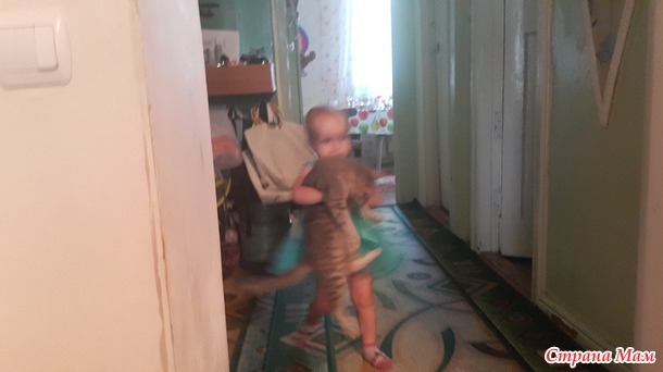 Ох, чую и у меня скоро будет зоопарк.