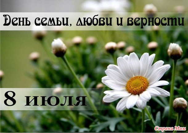 Всех с праздником Днем семьи, любви и верности