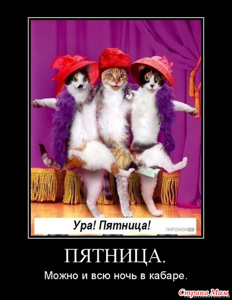 Она – моя любимая пятница.