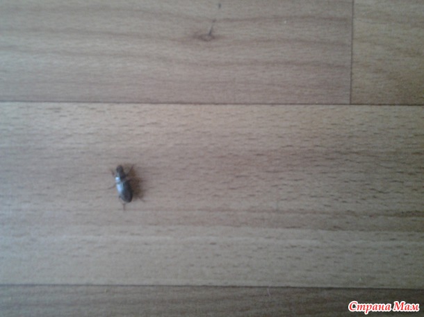 Как же мне от них избавиться?!