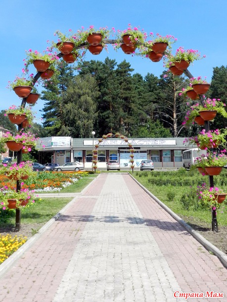 А у нас все новое и новое;) или прогулка у цветочных арок)