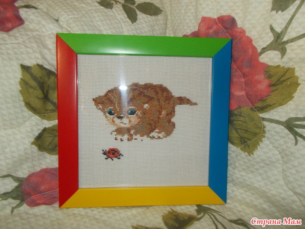 *Котята в рамках)