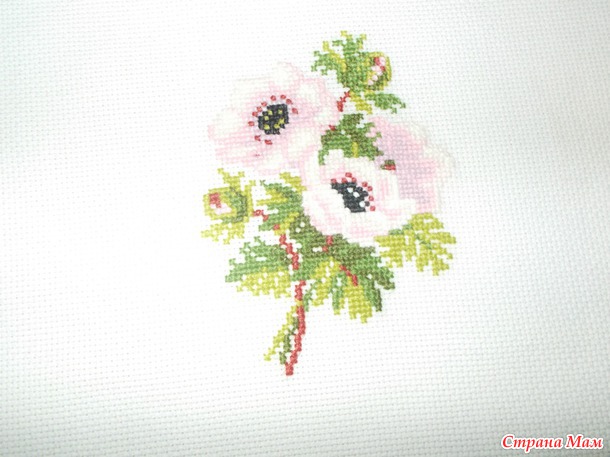 *Анемоны! риолис