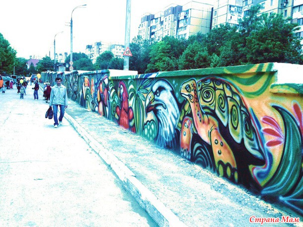 Zoo street-art,    ,          