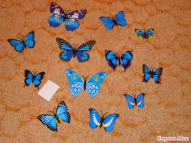 Бабочки +