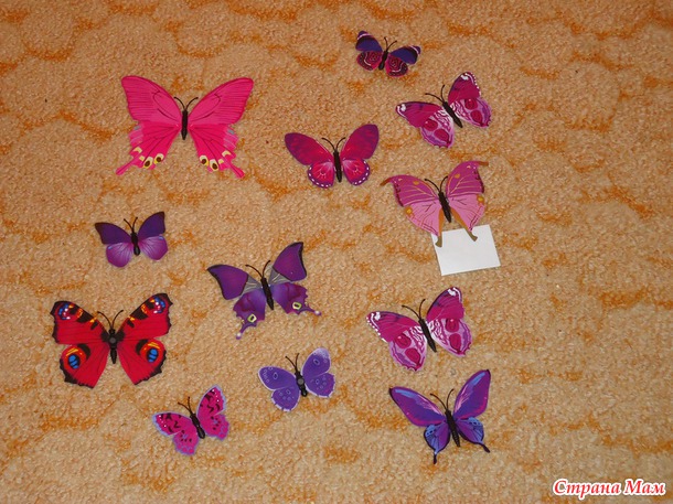 Бабочки +