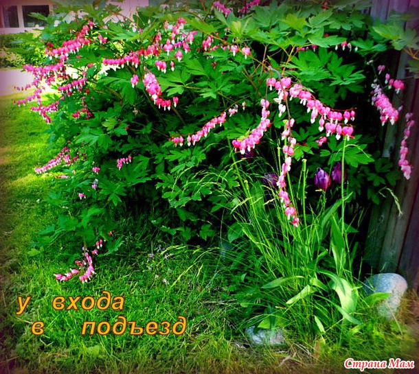 Красавец - ИЮНЬ!