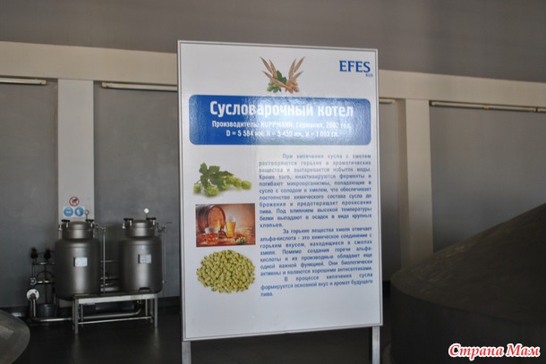 Экскурсия на завод EFES 20.06.2015