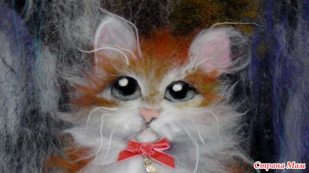 Котик (подарок)