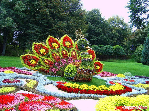 Цветники и цветочные скульптуры