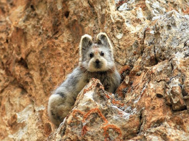 Лучшие снимки National Geographic