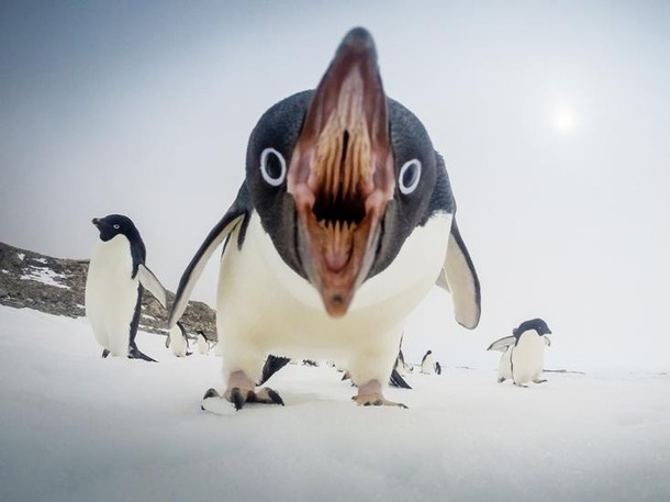 Лучшие снимки National Geographic