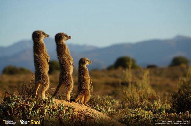 Лучшие снимки National Geographic