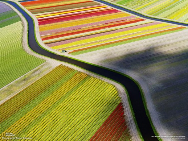Лучшие снимки National Geographic