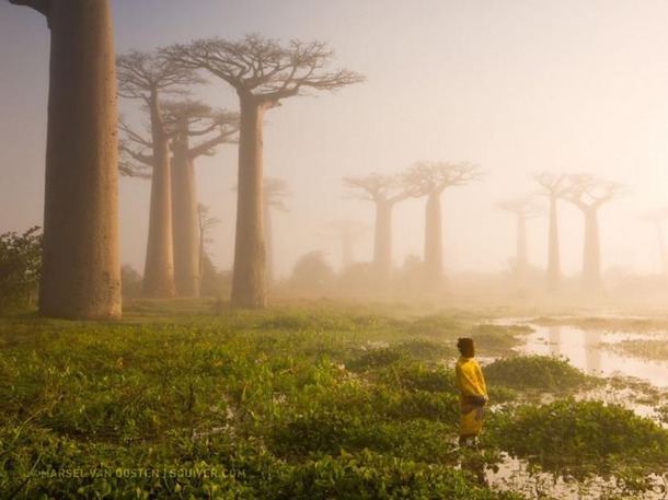 Лучшие снимки National Geographic