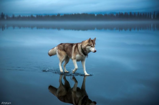 Лучшие снимки National Geographic