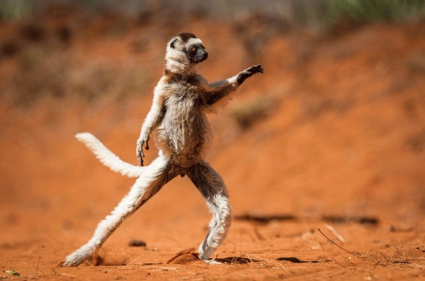 Лучшие снимки National Geographic