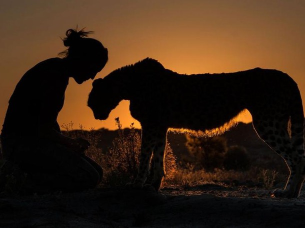 Лучшие снимки National Geographic