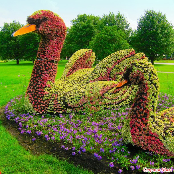 Цветники и цветочные скульптуры