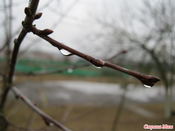 Платье в полоску
