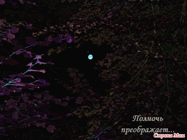 Зарисовки