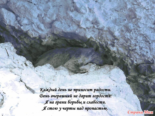 Зарисовки
