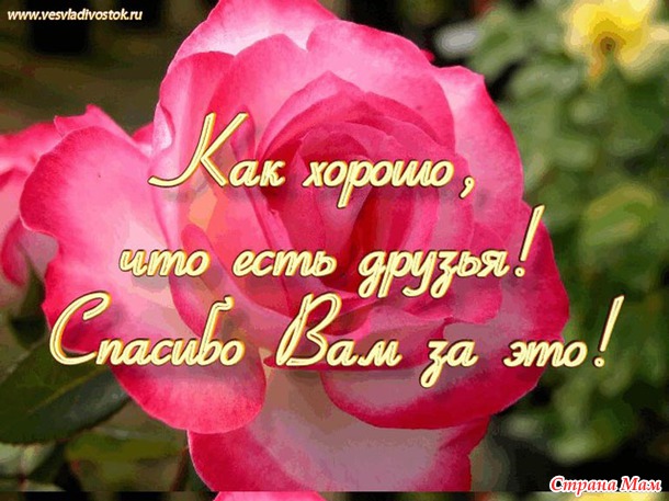 Два года я с ВАМИ!