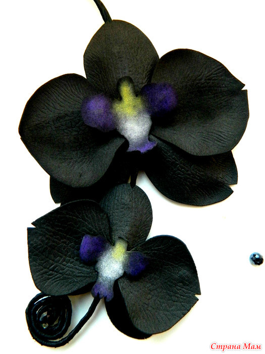 Черная Орхидея Магазин