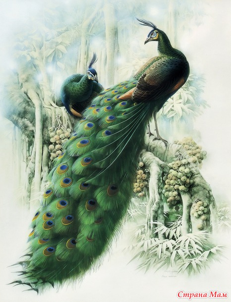   Zeng Xiao Lian