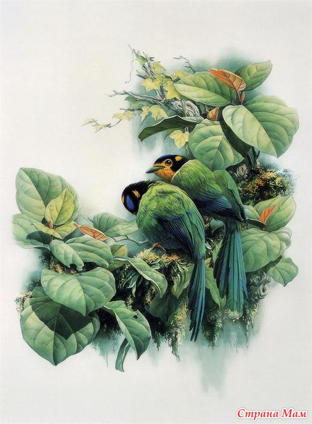    Zeng Xiao Lian