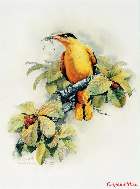    Zeng Xiao Lian
