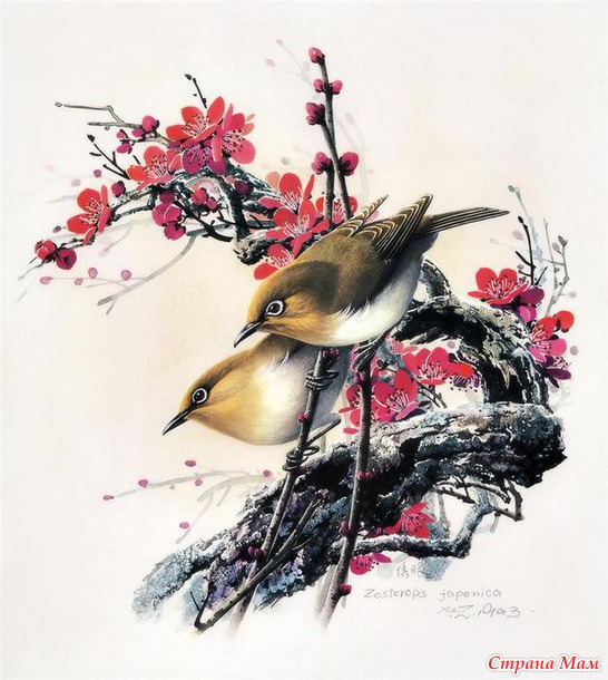    Zeng Xiao Lian