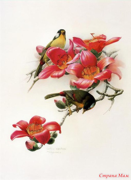    Zeng Xiao Lian