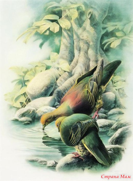   Zeng Xiao Lian