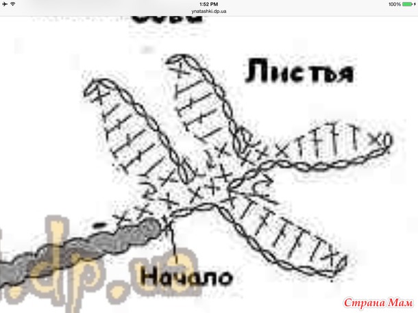*Модняшка к лету!