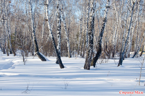 Уходящая зима. Пейзажи.