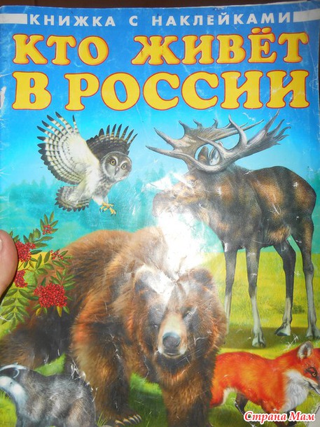 ТЗ Путешествие (начало)