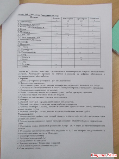 Пятнадцатый год