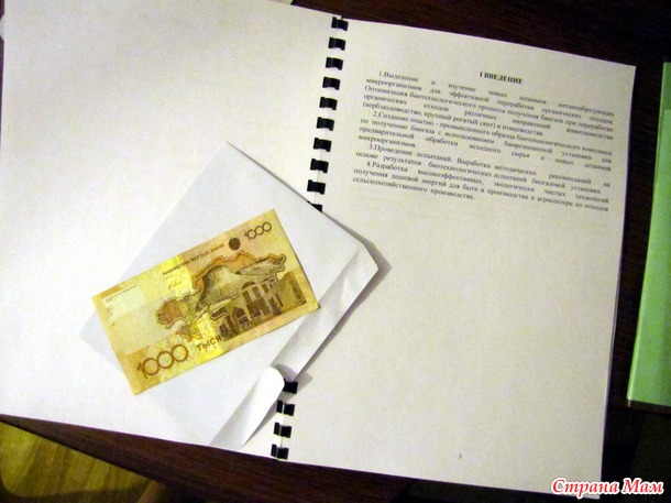 Пятнадцатый год