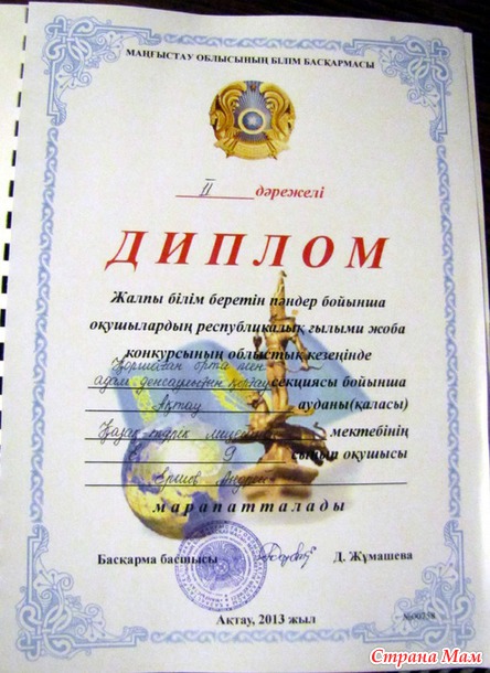 Пятнадцатый год
