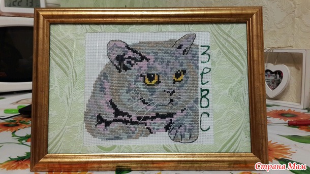 Котейка